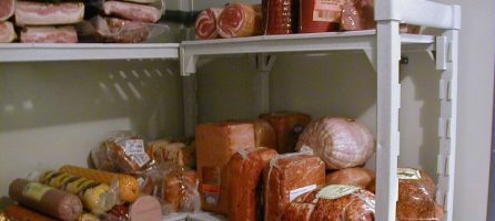 Kunststof stellingkast haccp koelcel